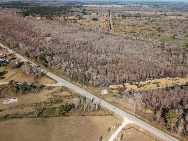 Quelles sont les astuces pour cultiver des légumes racines en conteneurs ?