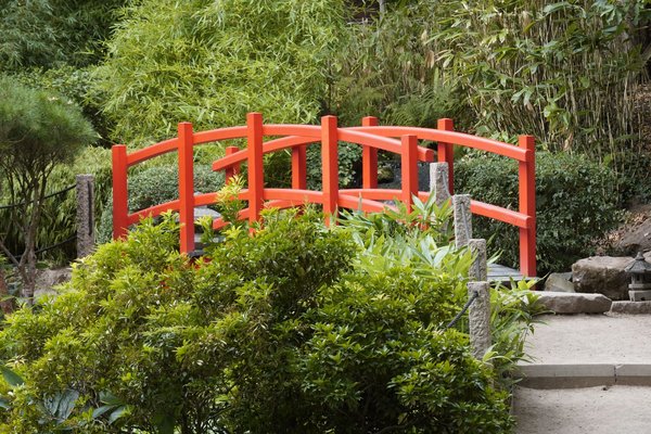 Comment réussir une transition de carrière vers la gestion de projets en technologies propres ?